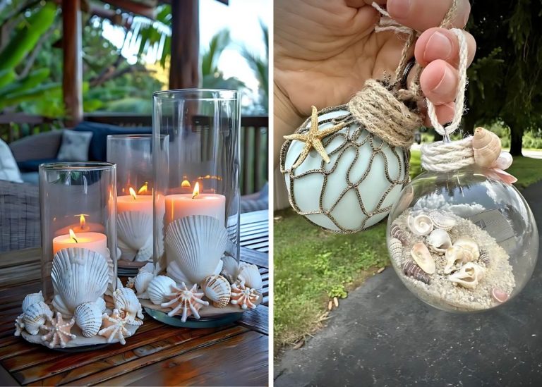 20+ Gorgeous Seashell Craft Ideas to Elevate Your Home Decor