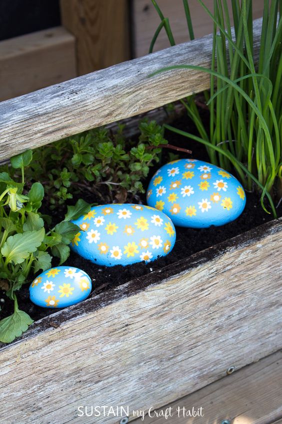 Charming Daisy Painted Pebbles