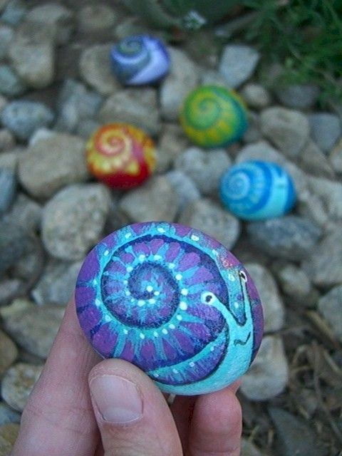 Colorful Snail Swirl Pebbles