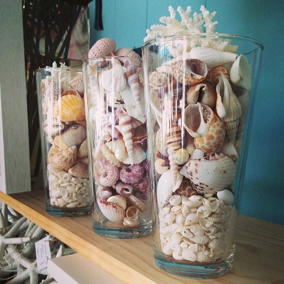 Elegant Seashell Vase Display