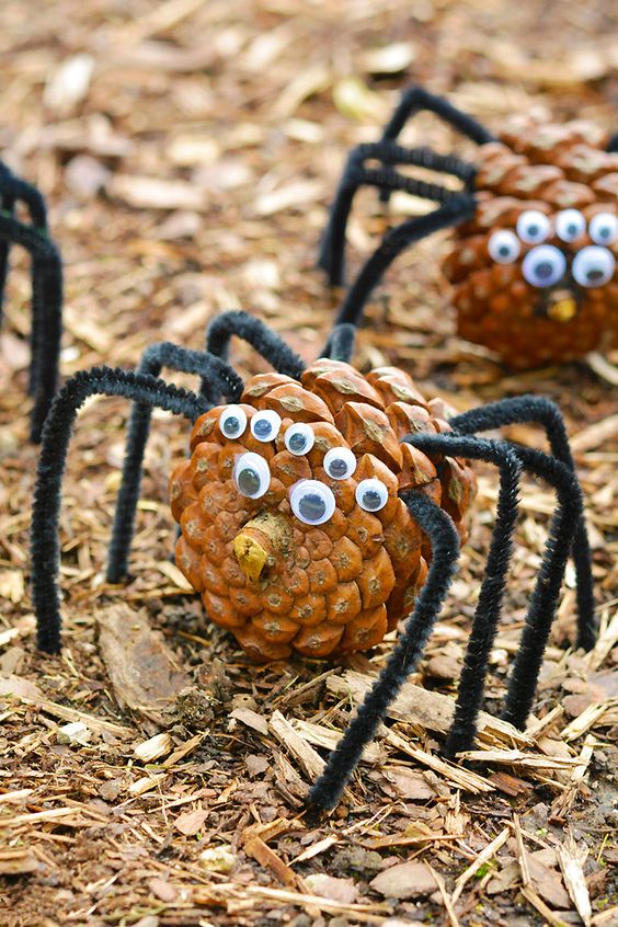 Playful Pine Cone Spiders