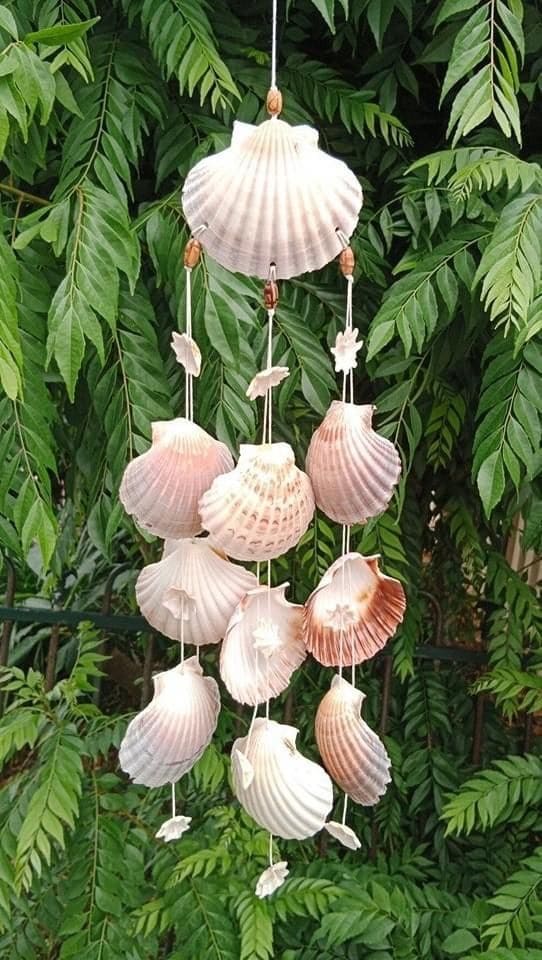 Elegant Coastal Seashell Wind Chime