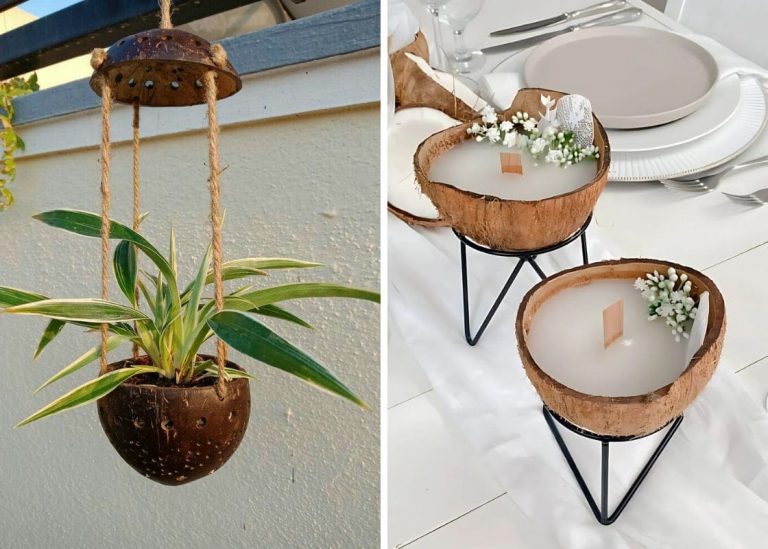 25 Brilliant Coconut Shell Craft Ideas to Transform Your Creations and Decor