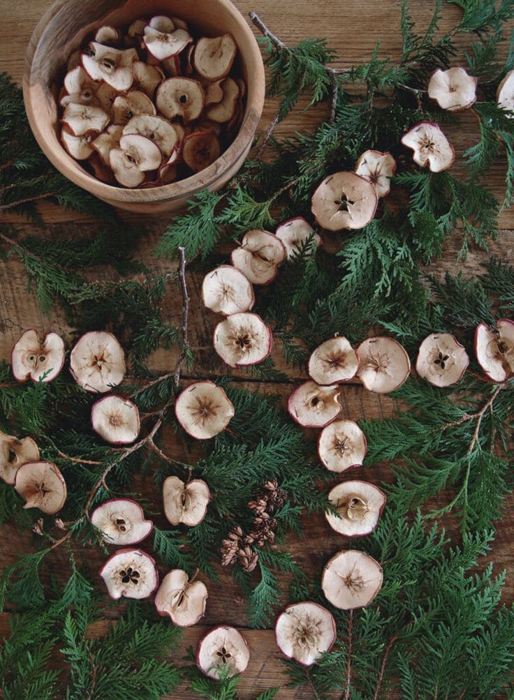 Apple Slice and Greenery Garland