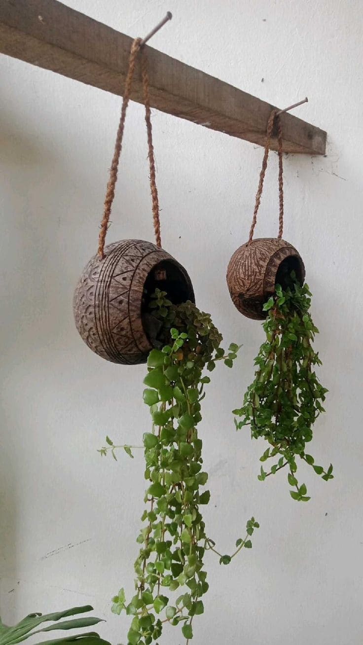 Charming Hanging Coconut Shell Planters