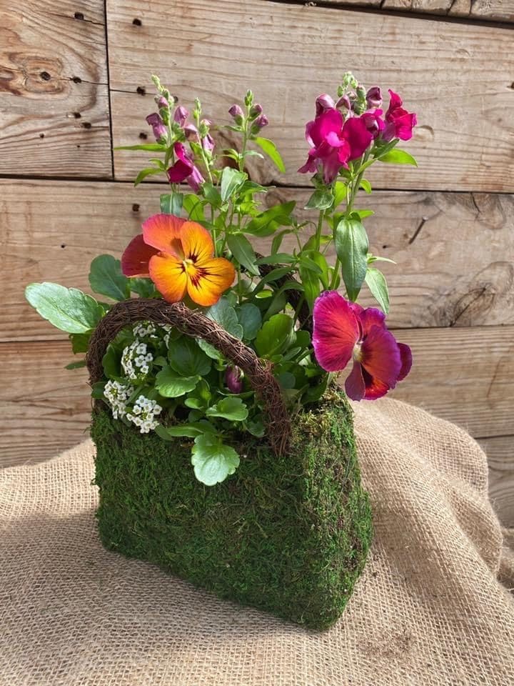 Charming Moss Handbag Flower Planter