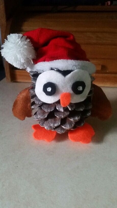 Charming Pinecone Santa Owl Craft