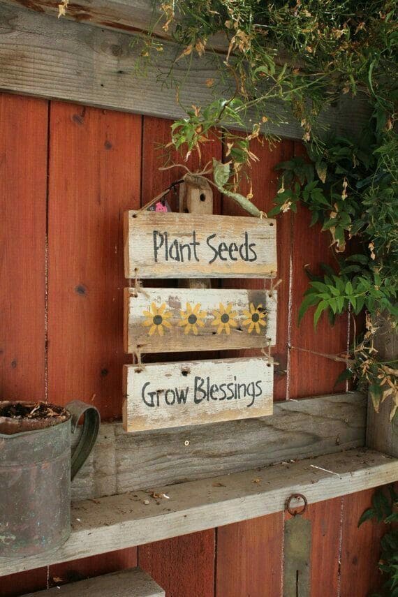 Charming Plant Seeds Grow Blessings Sign