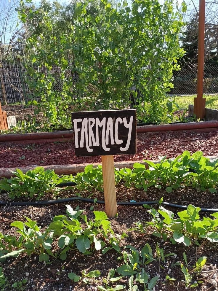 Clever Farmacy Garden Sign for Veggie Beds