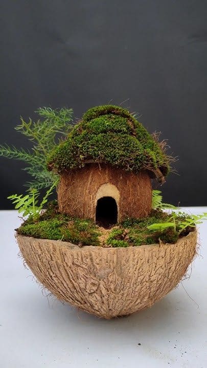 Coconut Shell Miniature Fairy House