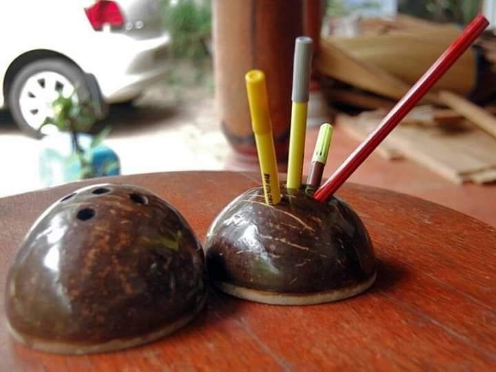 Coconut Shell Pen Holder Idea