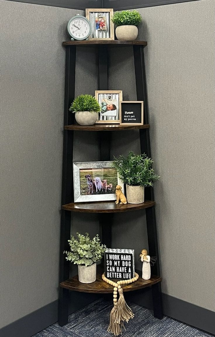 Compact and Elegant Corner Shelves