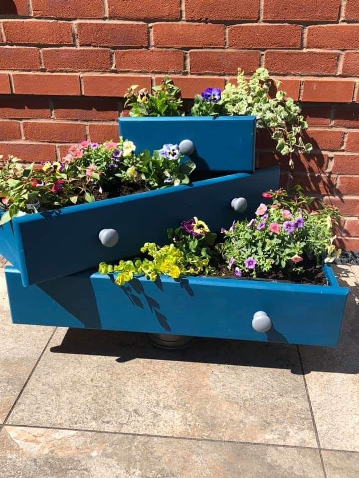 Drawer-tastic Garden