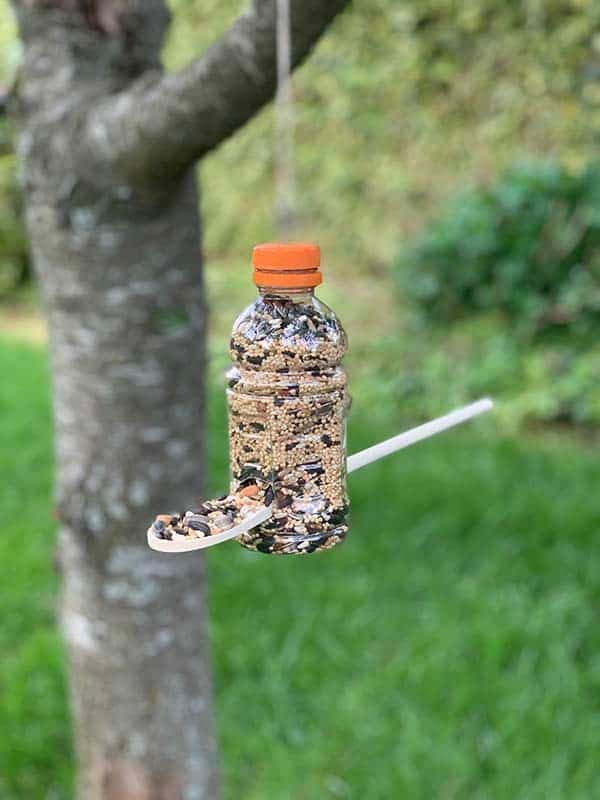 Eco-Friendly Bird Feeder with Spoons