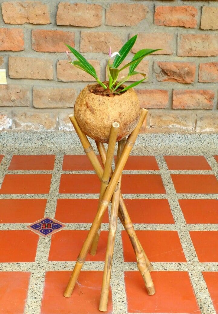 Eco-Friendly Coconut Shell Planter Stand