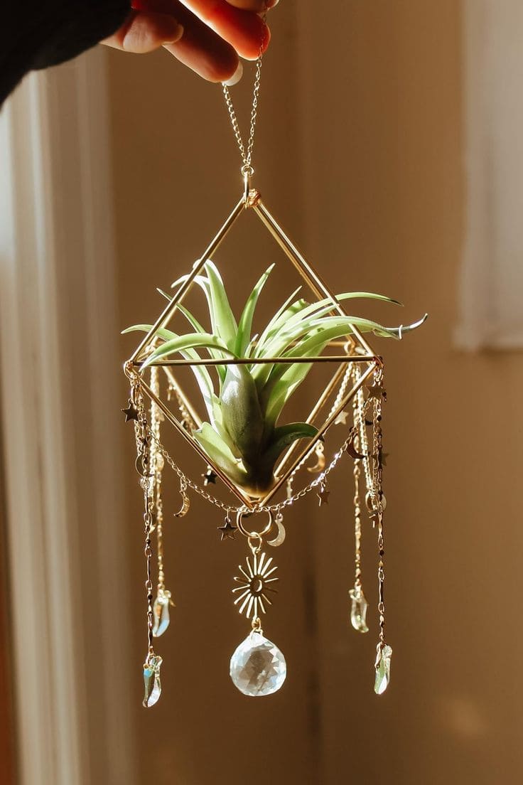 Elegant Air Plant Sun Catcher Charm