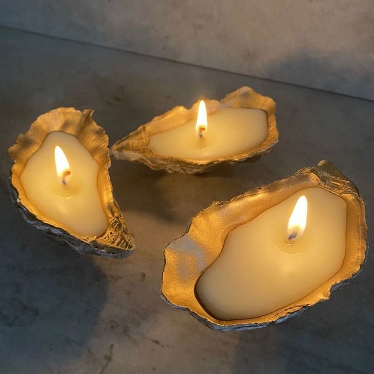 Elegant Oyster Shell Candle Holders