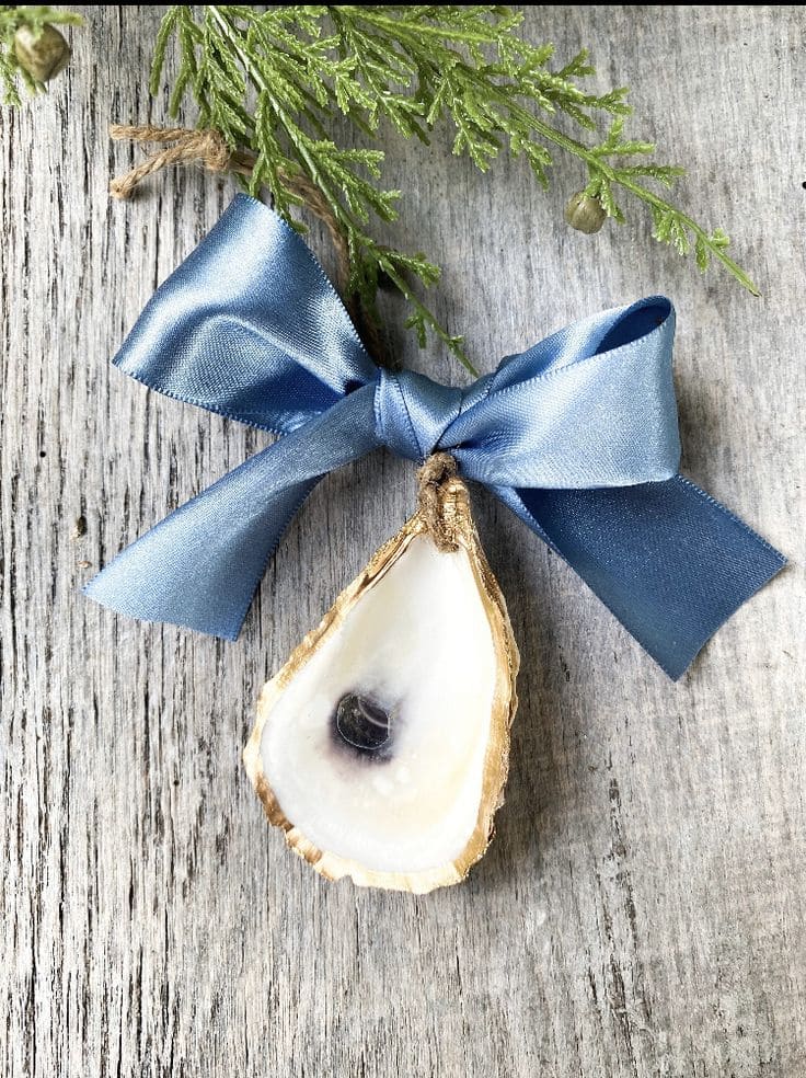 Elegant Oyster Shell Ornament with Ribbon