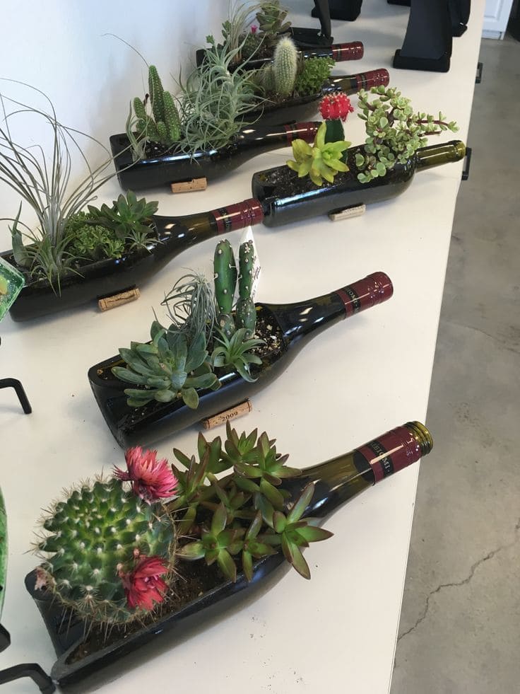 Enchanting Succulent Bottle Gardens