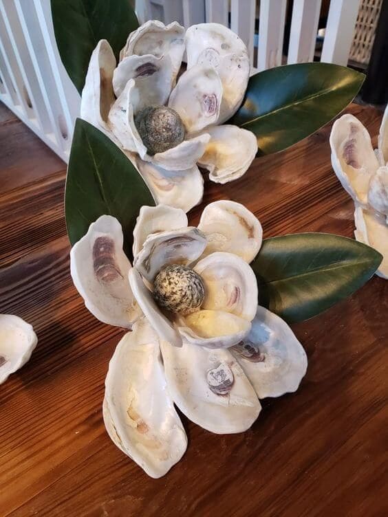 Exquisite Oyster Shell Magnolia Blooms