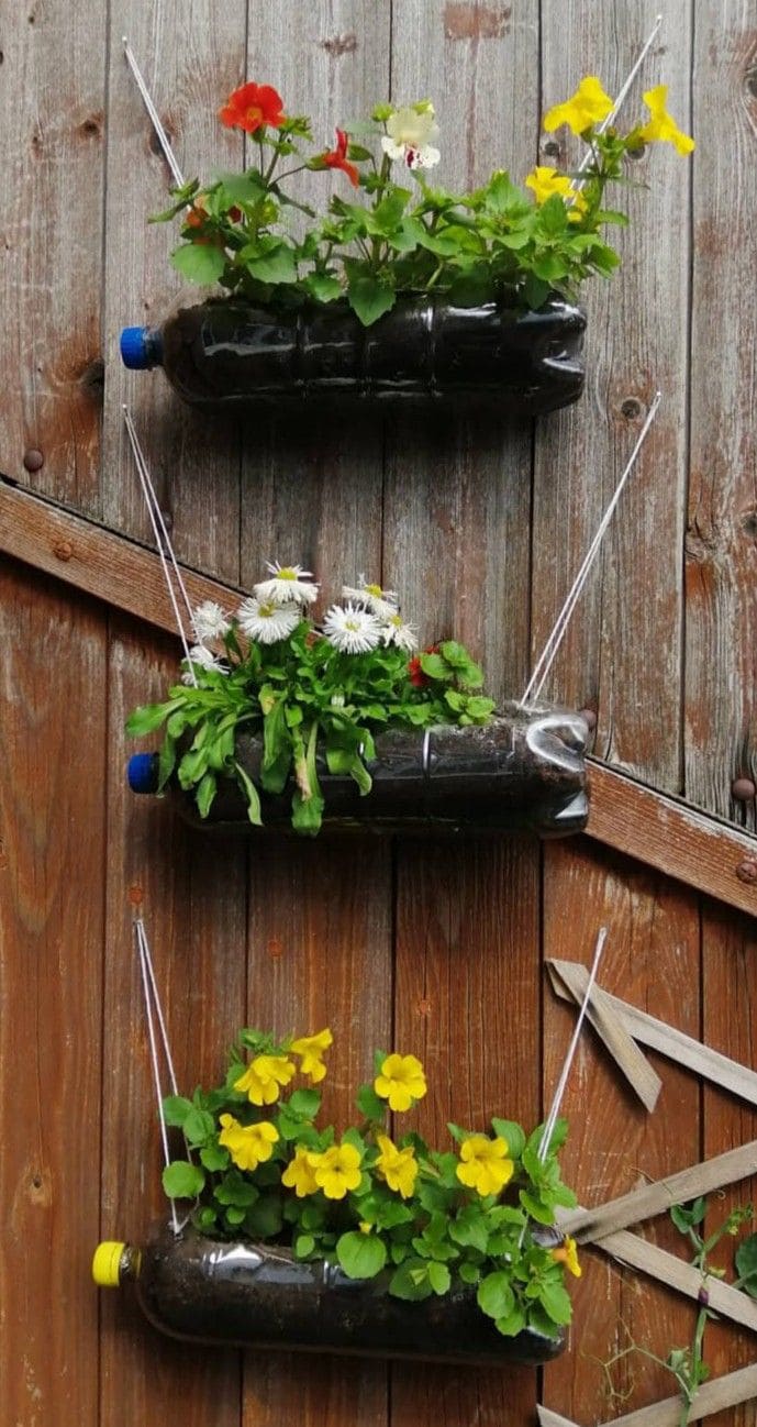 Plastic Bottle Self Planter