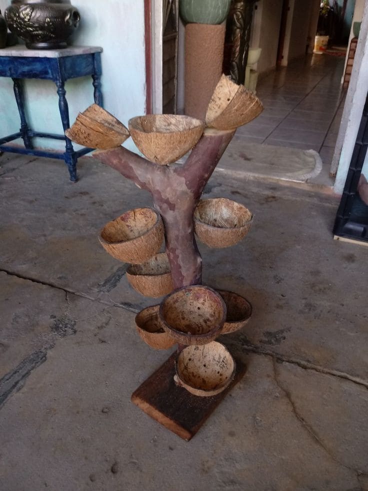 Rustic Coconut Shell Display Tree Stand