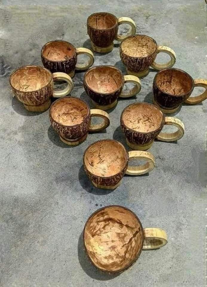 Rustic Handmade Coconut Shell Cups