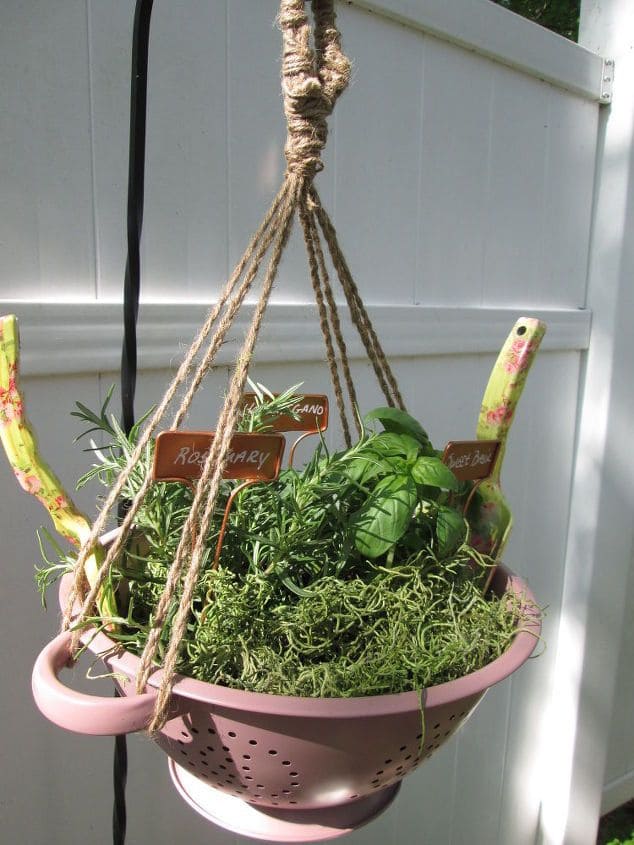 Strainer Hanging Herb Garden