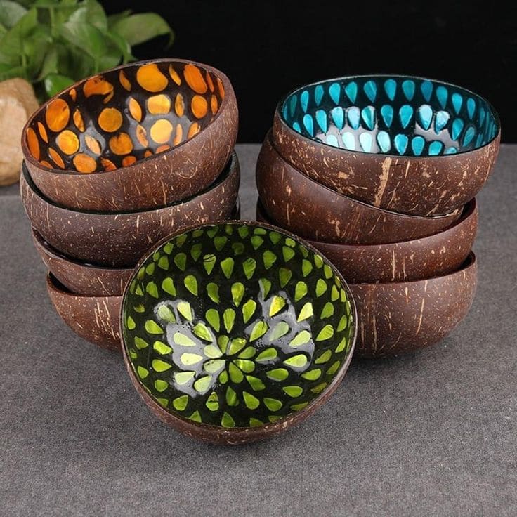 Vibrant Coconut Shell Handcrafted Bowls