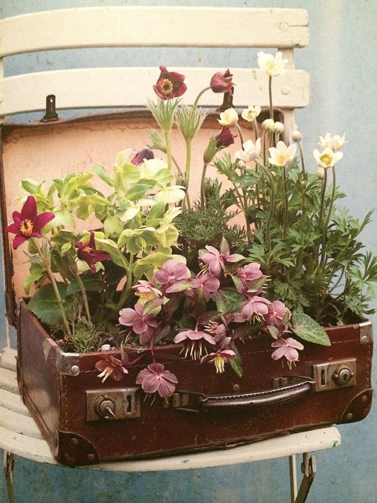 Vintage Voyage Planter