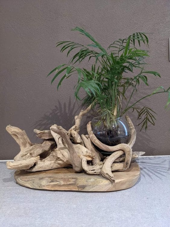 Rustic Driftwood Plant Holder Elegance