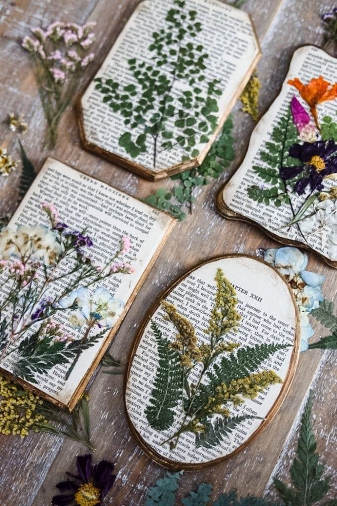 Vintage Book Page Botanical Art